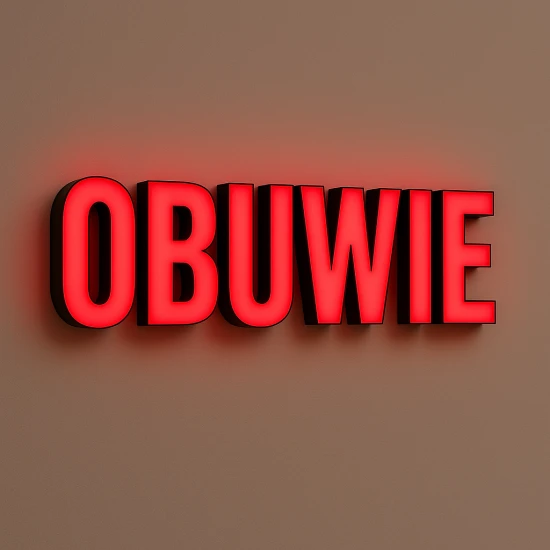 OBUWIE.png
