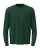 big_ST4300-BOG.webp